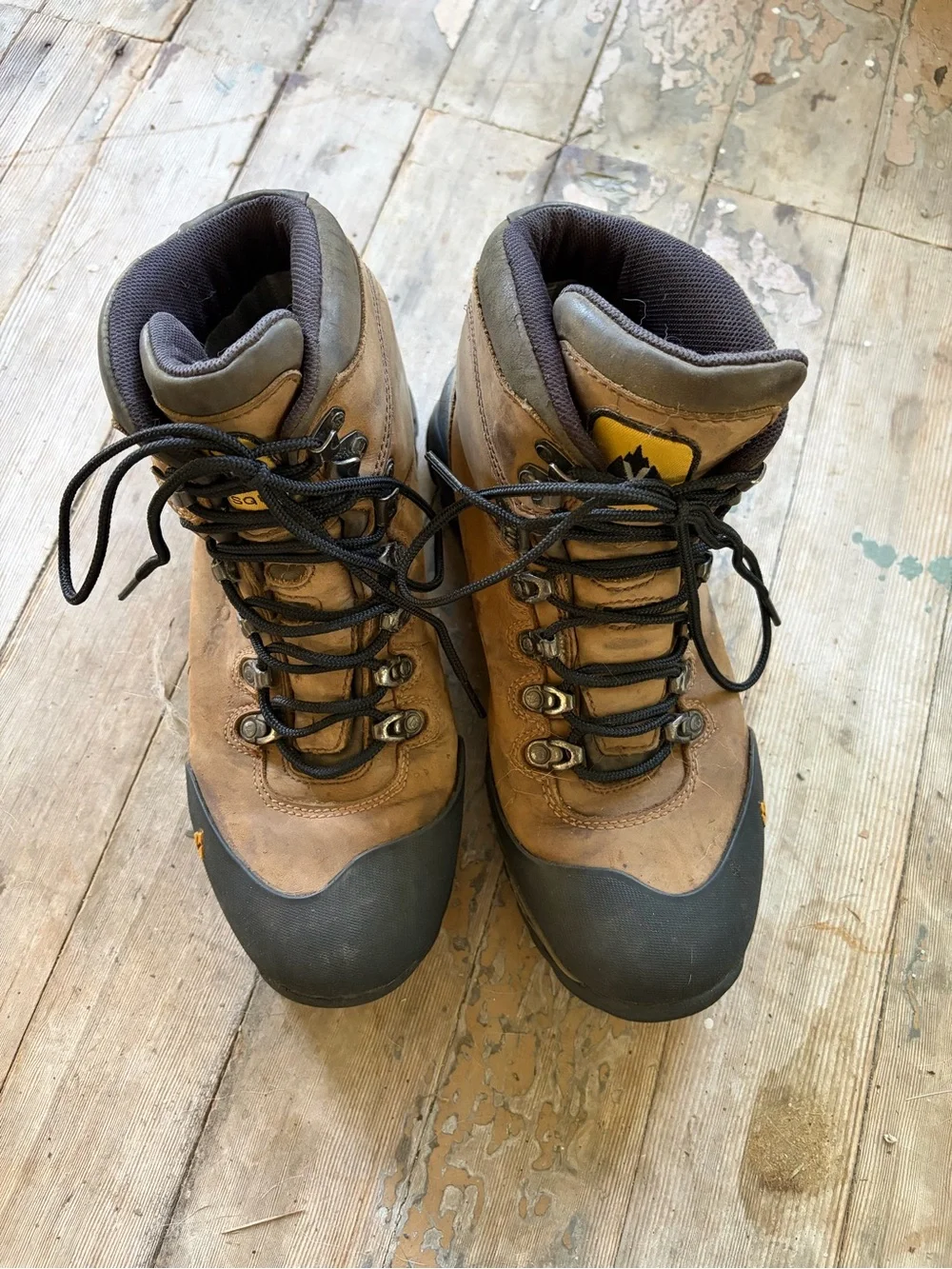 Men's 10 Vasque GTX hiking boot